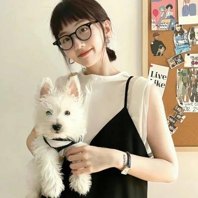 浪子神探第一季